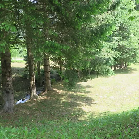 Dom wakacyjny Family Friendly House With A Parking Space Kuzelj, Gorski Kotar - 20980 *